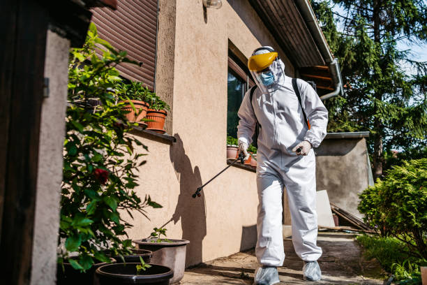 Best Pest Prevention Services  in Peoria Heights, IL