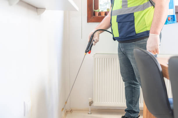 Best Ant Control Services  in Peoria Heights, IL