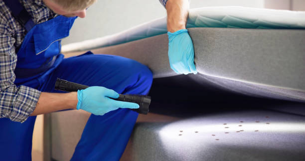 Best Pest Inspection Near Me  in Peoria Heights, IL