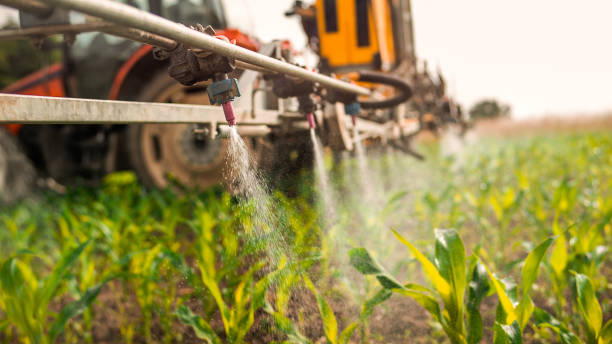 Best Best Pest Control Companies  in Peoria Heights, IL